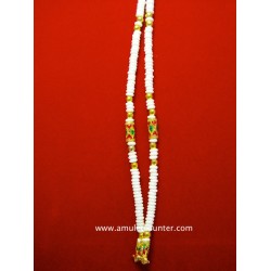 Fish Bone Thai Amulet Pendant Necklace 1 Hook (Gold)