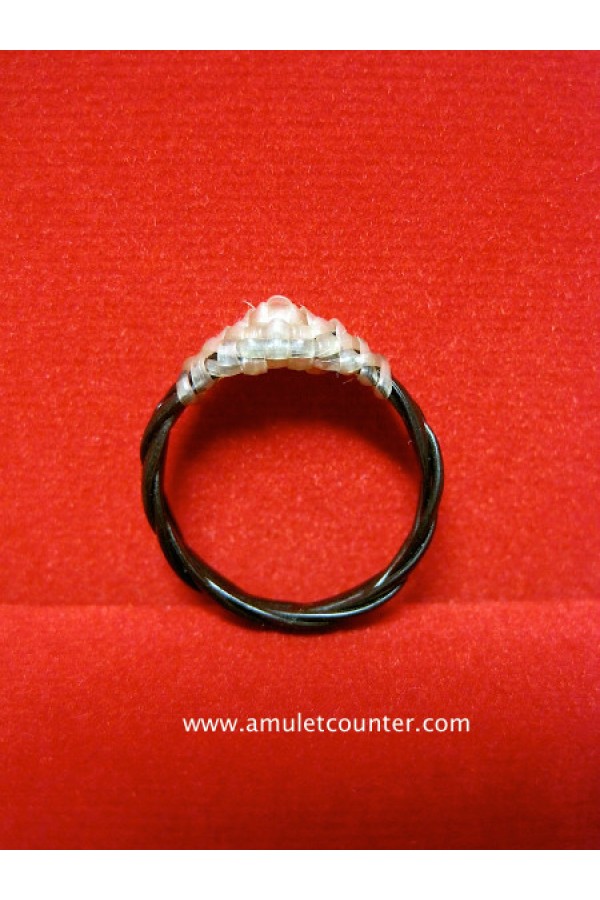 Waen Pirod Hang Chang (Rare Elephant White Tail Ring) BE 2555